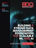 Building a Strong Data Management Foundation for Scalable ML and AI